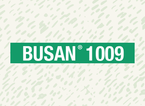 Busan 1009