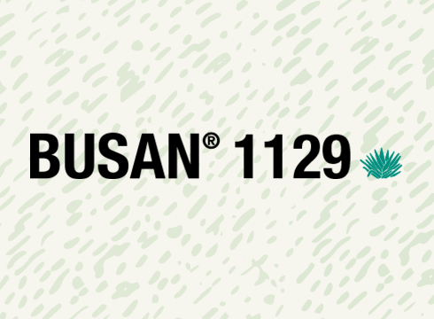 Busan 1129