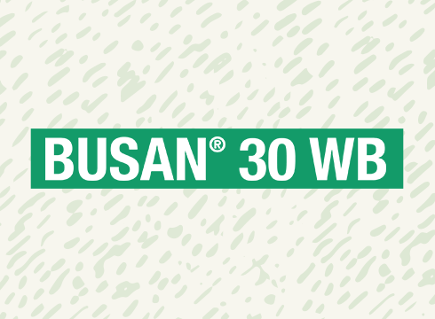 Busan 30 WB