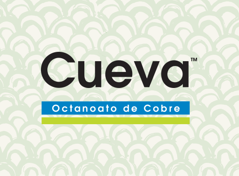 Cueva
