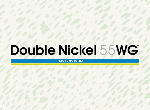 Double Nickel 55 WG